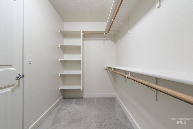 spacious closet with carpet