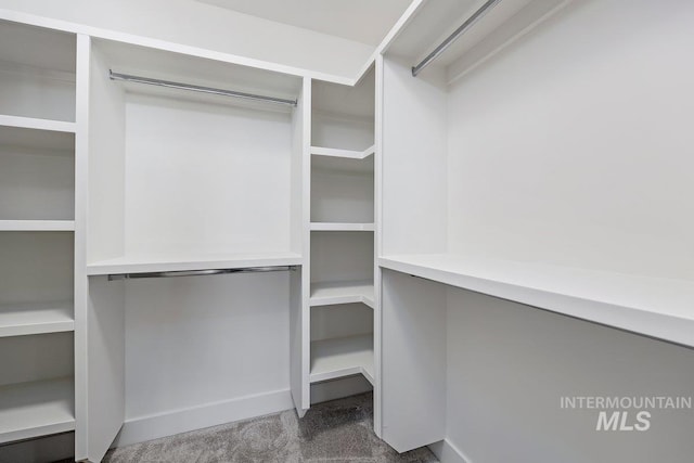 958 Gregory Way, Twin Falls, ID 83301 - walk in closet with carpet flooring