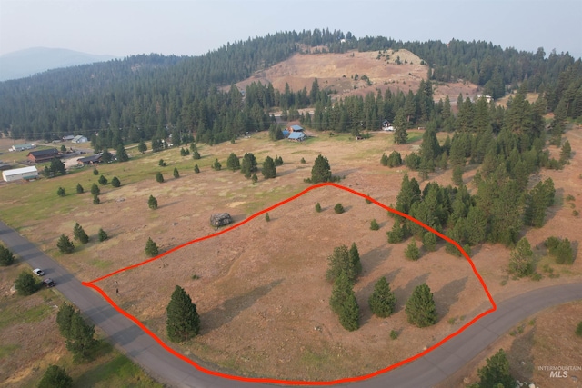 TBDLOT15 Whitefield Ln, Mccall ID, 83638 land for sale