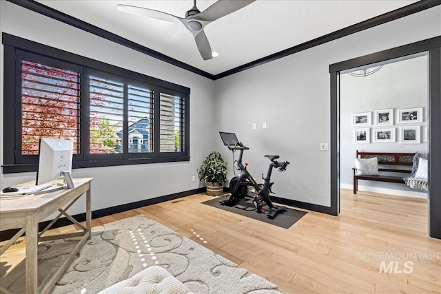 1427 N Morehouse, Eagle, ID 83616 - workout room with baseboards, ornamental molding, light wood-style floors, and a ceiling fan
