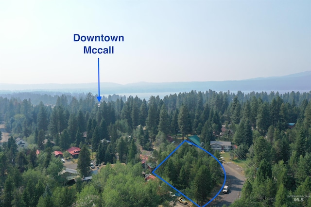 615 Syringa, Mccall ID, 83638 land for sale