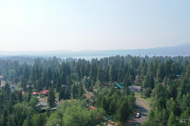 615 Syringa, Mccall, ID 83638
