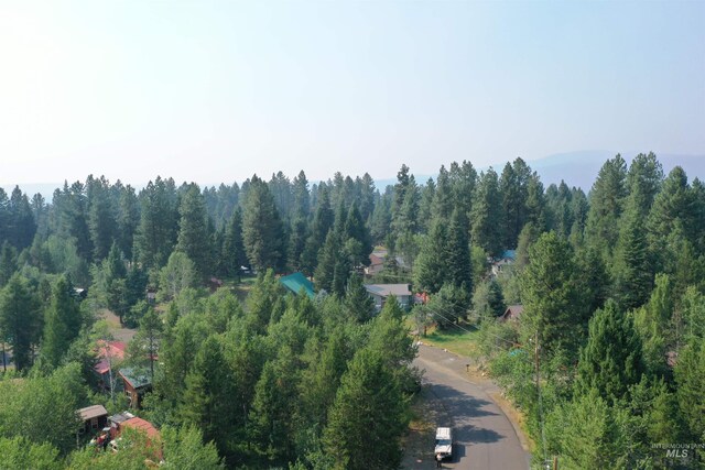 615 Syringa, Mccall, ID 83638