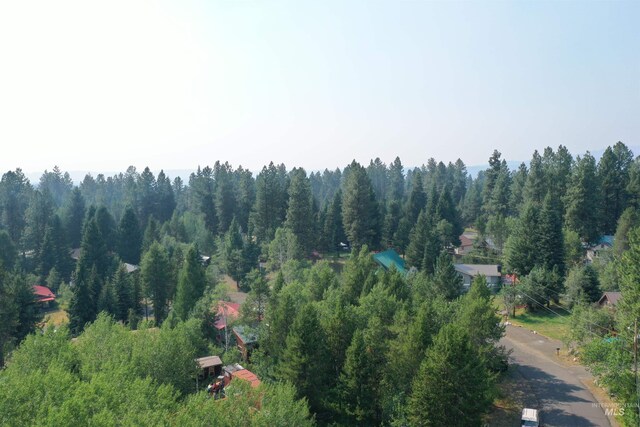 615 Syringa, Mccall, ID 83638