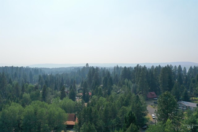 615 Syringa, Mccall, ID 83638