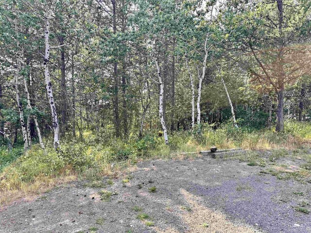 615 Syringa, Mccall, ID 83638