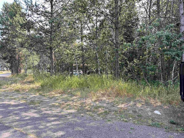 615 Syringa, Mccall, ID 83638