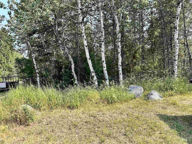 615 Syringa, Mccall, ID 83638