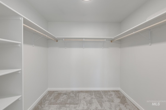 spacious closet with carpet flooring