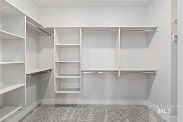 499 S Short Ln, Eagle, ID 83616 - walk in closet with carpet flooring