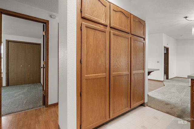607 S State, Nampa, ID 83686 - corridor featuring baseboards, light carpet, and light wood-style flooring