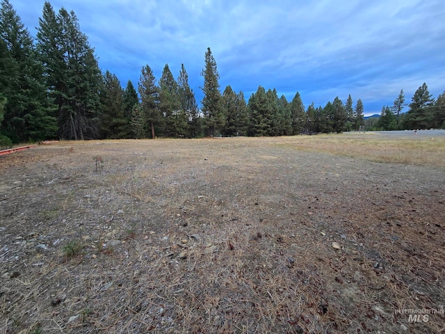 Listing photo 3 for LOT4 Cracker Creek Rd, Sumpter OR 97887