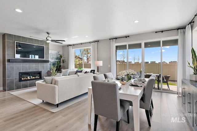 dining space with tile walls, light hardwood / wood-style flooring, a tile fireplace, and ceiling fan