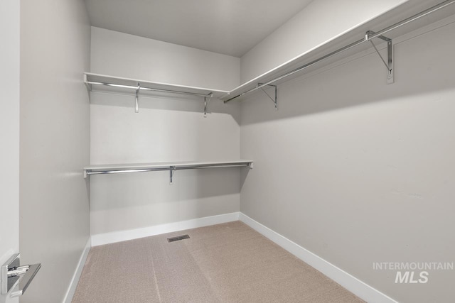 spacious closet featuring carpet