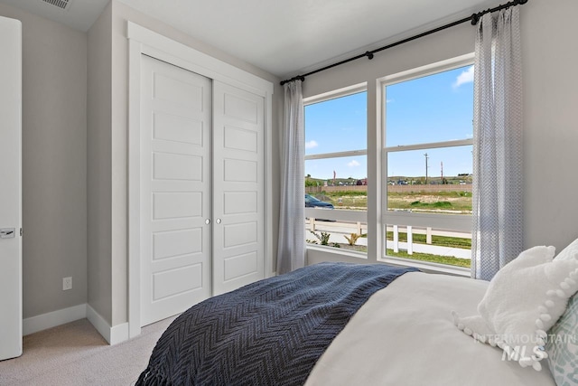 bedroom with a closet, light carpet, and multiple windows