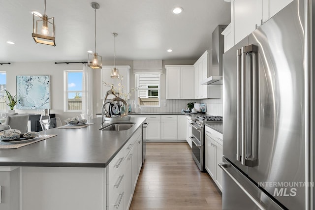 kitchen featuring high quality appliances, a wealth of natural light, wall chimney exhaust hood, and hardwood / wood-style floors