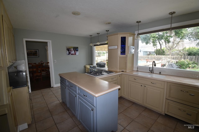 123 15th Ave, Lewiston, ID 83501 - kitchen featuring a sink, light countertops, and plenty of natural light