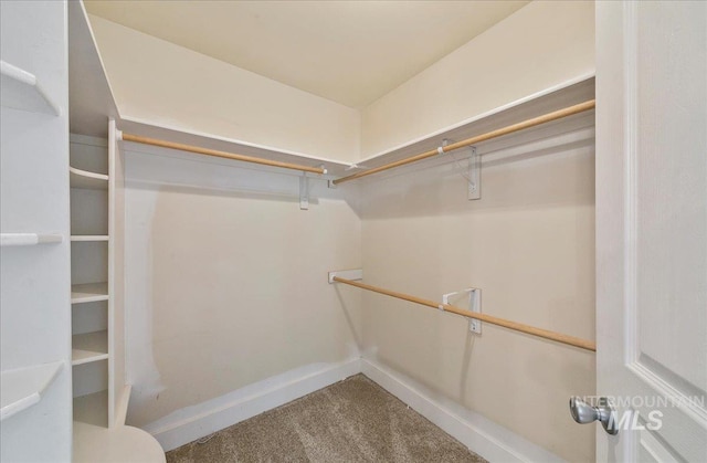 10539 W Merab Ct, Star, ID 83669 - walk in closet with carpet