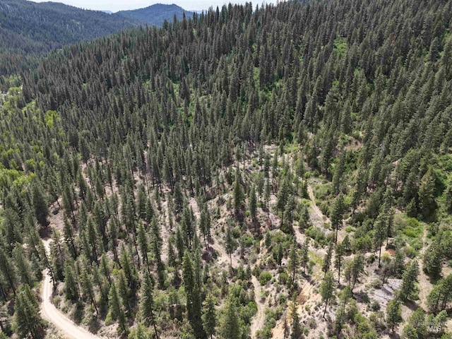 TBD39.64 Manning Ln, Idaho City, ID 83631