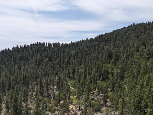 TBD39.64 Manning Ln, Idaho City, ID 83631