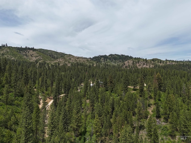 TBD39.64 Manning Ln, Idaho City, ID 83631