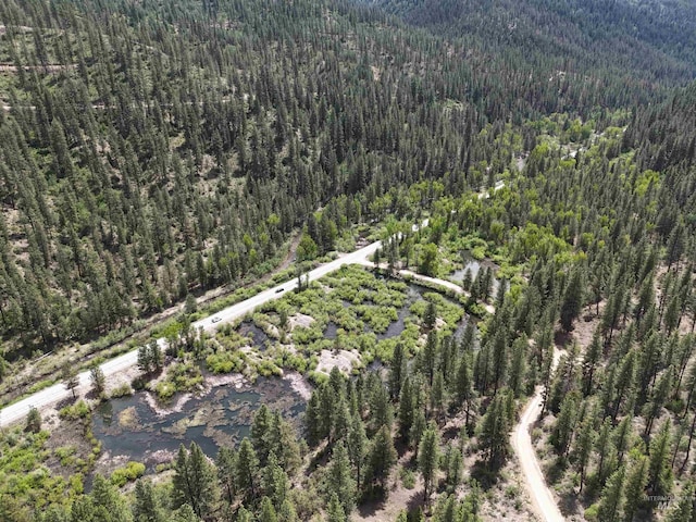 TBD39.64 Manning Ln, Idaho City, ID 83631