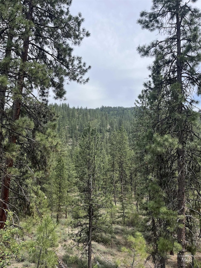 TBD39.64 Manning Ln, Idaho City, ID 83631