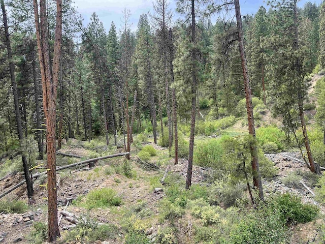 TBD39.64 Manning Ln, Idaho City, ID 83631