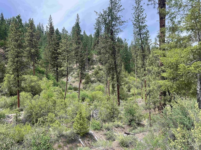 TBD39.64 Manning Ln, Idaho City, ID 83631