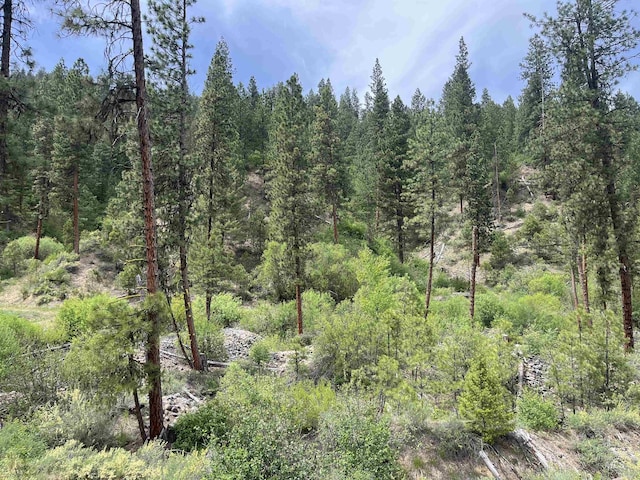 TBD39.64 Manning Ln, Idaho City, ID 83631