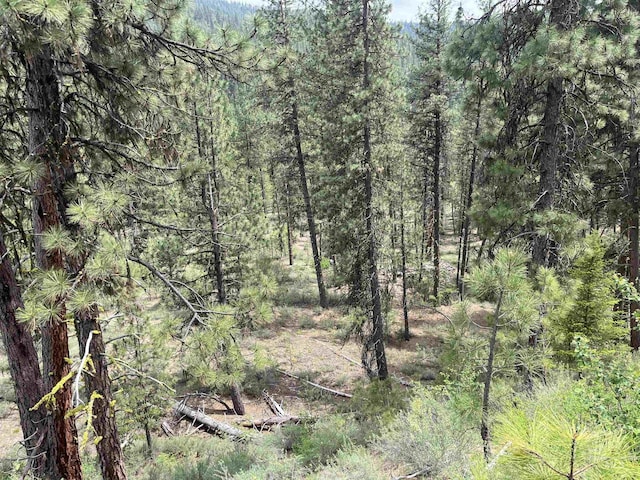TBD39.64 Manning Ln, Idaho City, ID 83631