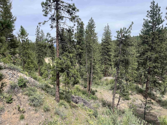 TBD39.64 Manning Ln, Idaho City, ID 83631