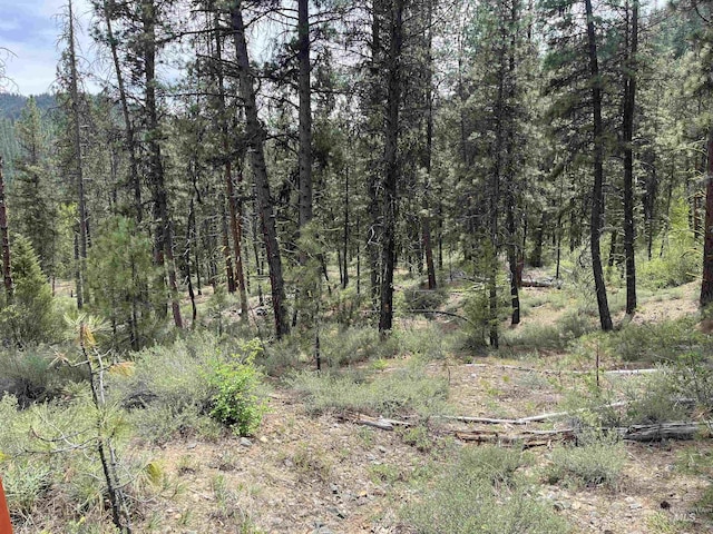 TBD39.64 Manning Ln, Idaho City, ID 83631