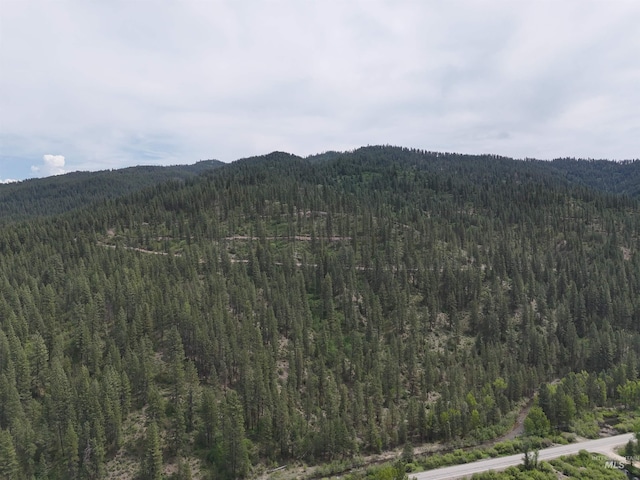TBD39.64 Manning Ln, Idaho City, ID 83631