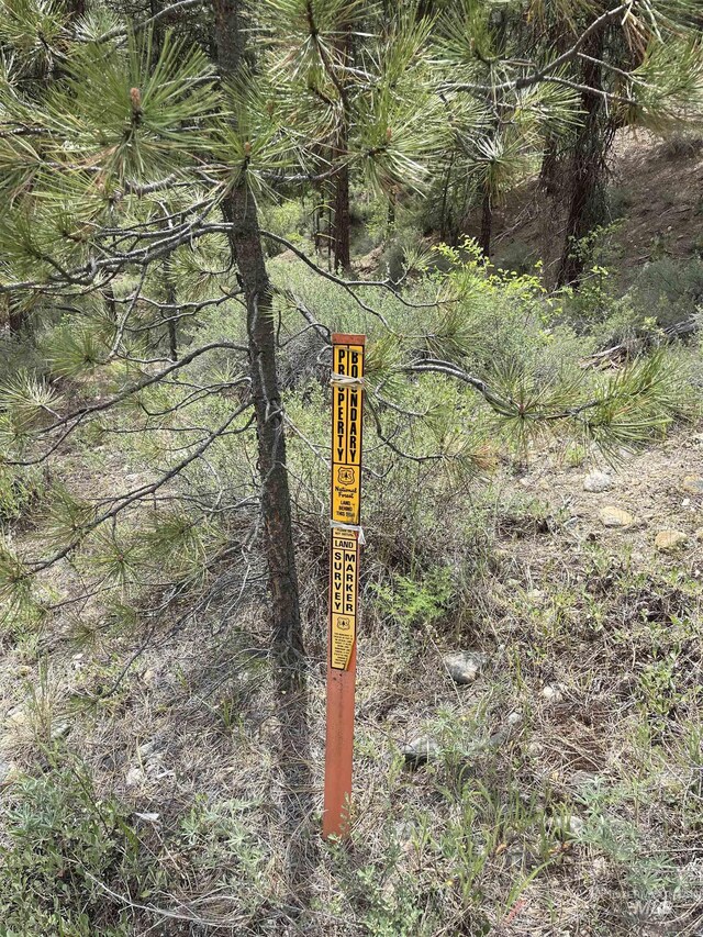 TBD39.64 Manning Ln, Idaho City, ID 83631