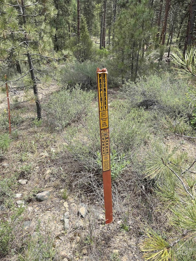 TBD39.64 Manning Ln, Idaho City, ID 83631