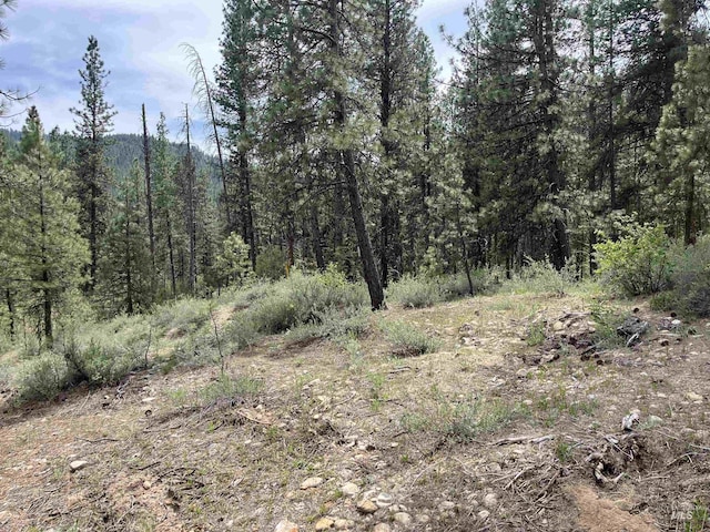 TBD39.64 Manning Ln, Idaho City, ID 83631