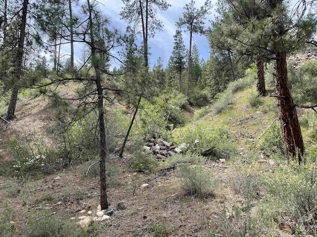 TBD39.64 Manning Ln, Idaho City, ID 83631