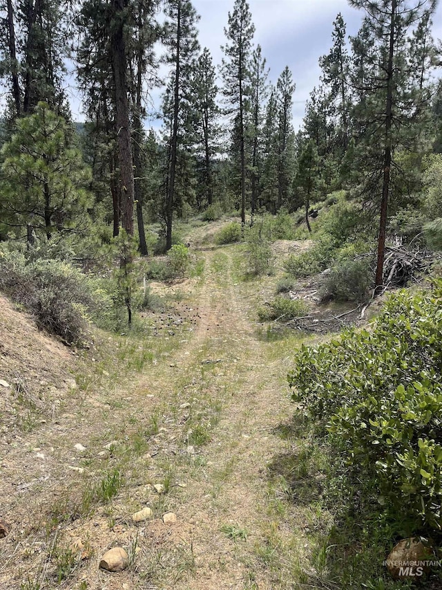 TBD39.64 Manning Ln, Idaho City, ID 83631