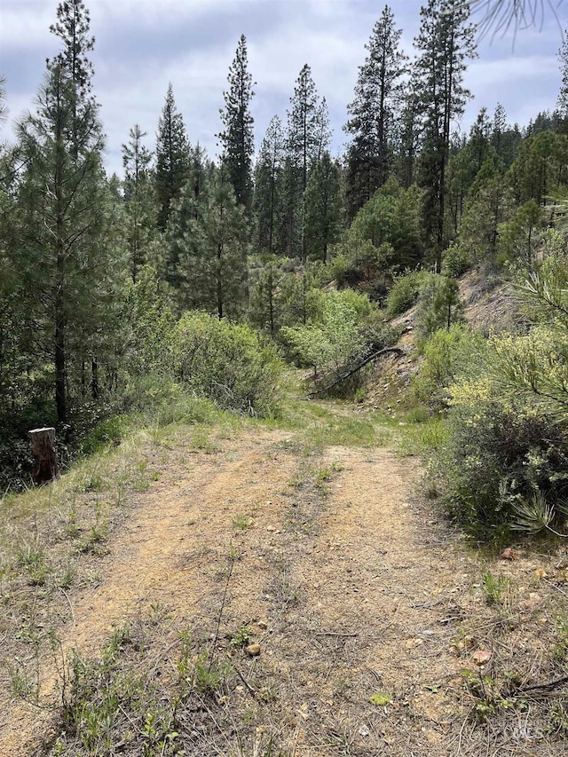 TBD39.64 Manning Ln, Idaho City, ID 83631