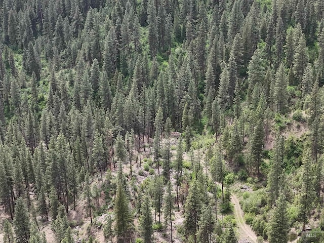 TBD39.64 Manning Ln, Idaho City, ID 83631