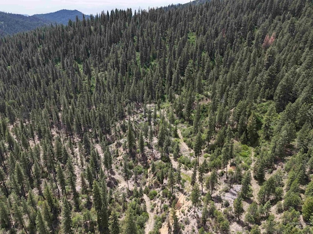 TBD39.64 Manning Ln, Idaho City, ID 83631