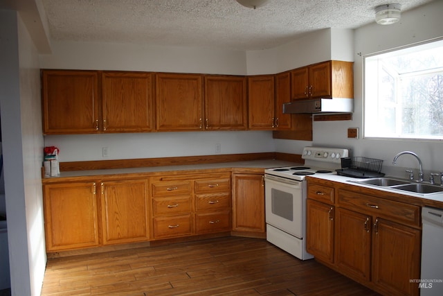 kitchen with a textured ceiling, sink, light hardwood / wood-style flooring, and white appliances