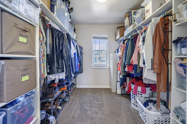 spacious closet featuring carpet flooring