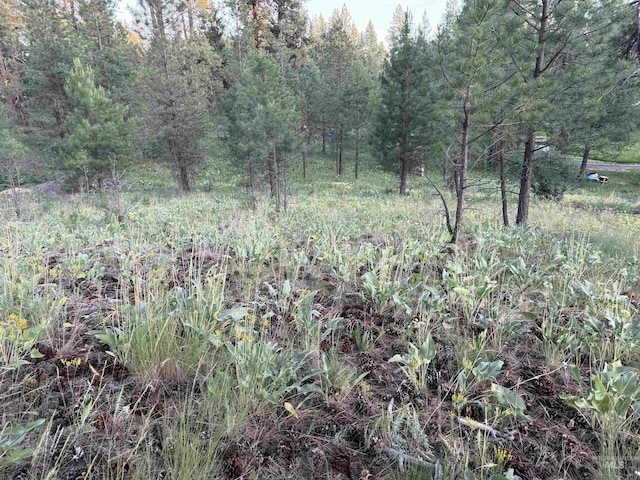 93 E Prospectors, Cascade, ID 83611