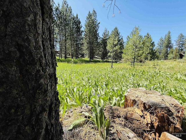 93 E Prospectors, Cascade, ID 83611