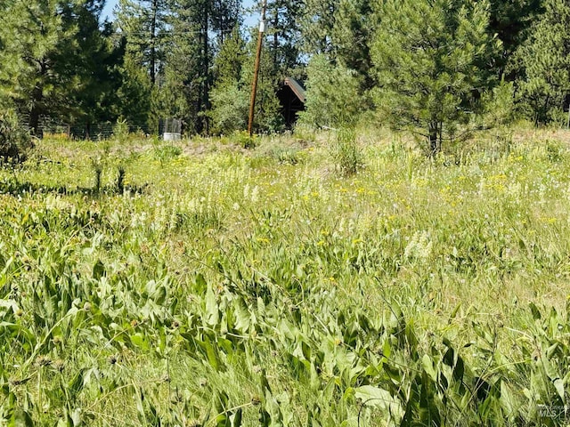 93 E Prospectors, Cascade, ID 83611