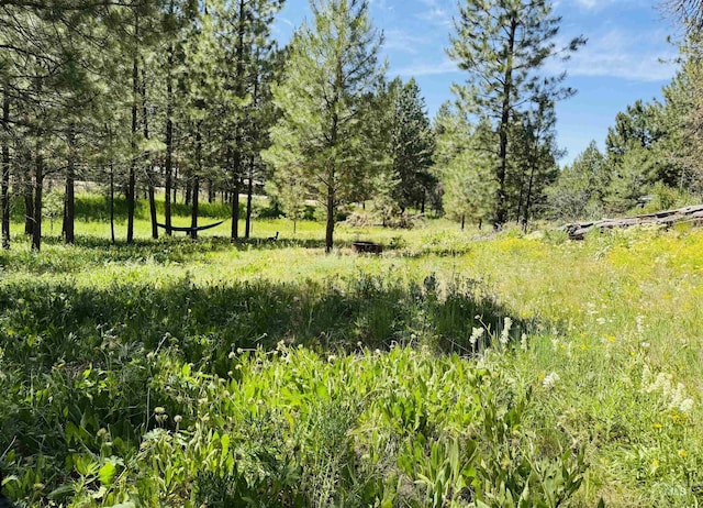 93 E Prospectors, Cascade, ID 83611