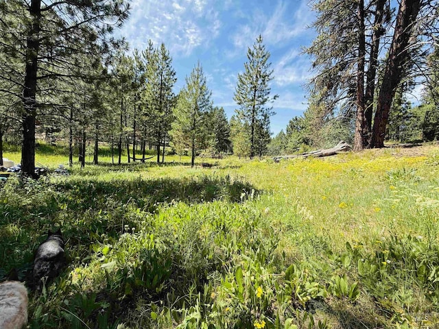 93 E Prospectors, Cascade, ID 83611