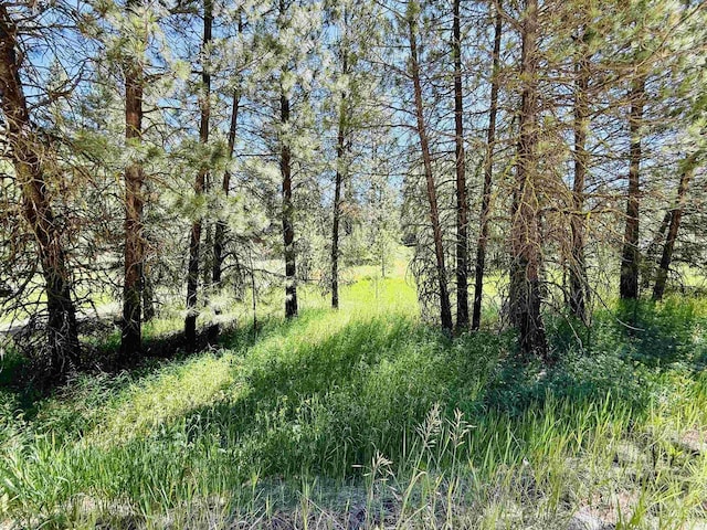 93 E Prospectors, Cascade, ID 83611